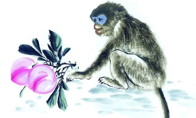 勾三搭四关联生肖猴、虎和兔，解密动物生肖之谜插图