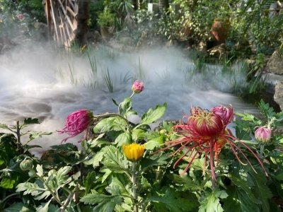 男生QQ网名灵感，野喵、先森、木瑾绿喵等，独特诗意伤感风格的名字推荐插图