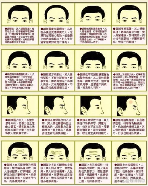 额头高者，智慧与独立之相。插图