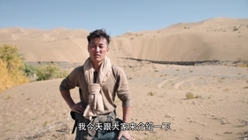 罗通，拜师传武艺，人生新篇章的开启。插图