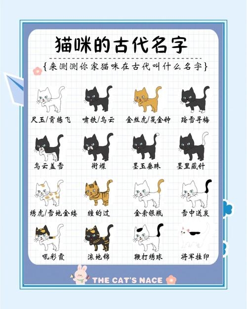 宠物名字精选，招财、寓意吉祥的猫咪命名，或简化为，猫名大赏，财运亨通插图