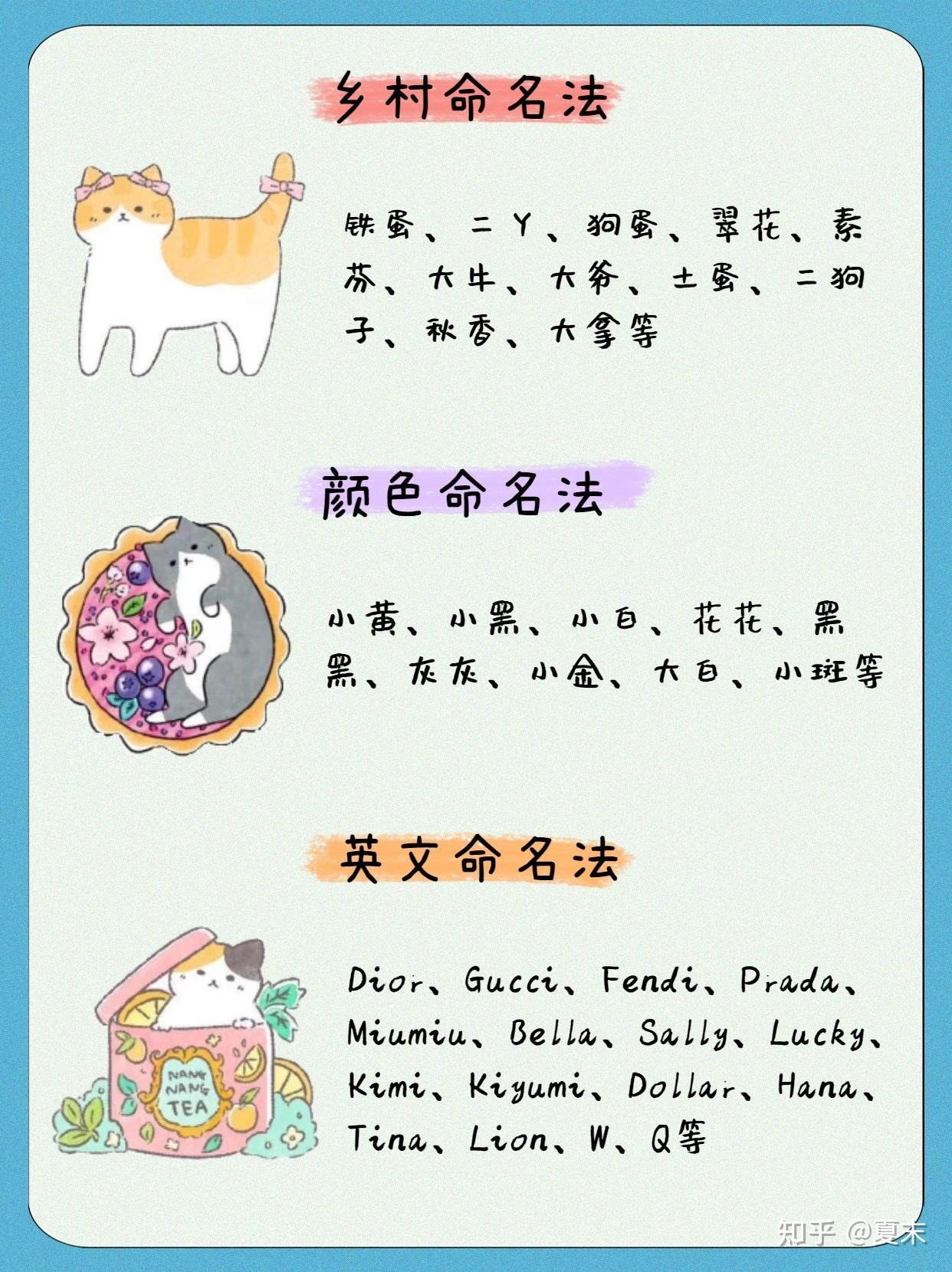 宠物取名大全可爱招财插图