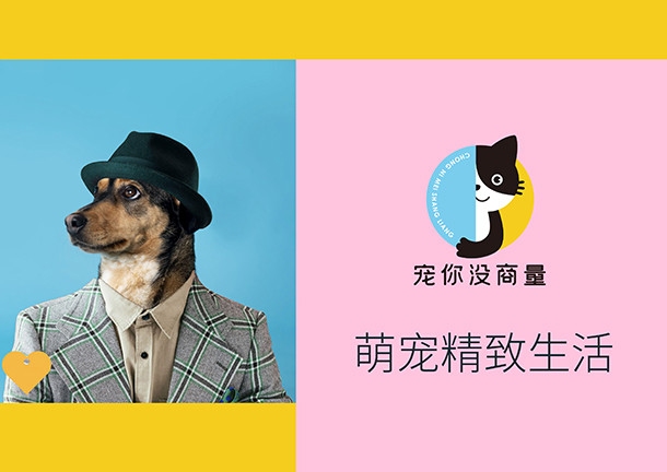 宠物商标转让流程及独特名字推荐，招财又好听！插图