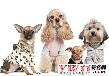 宠物狗狗霸气名字大全插图 宠物狗狗霸气名字大全插图