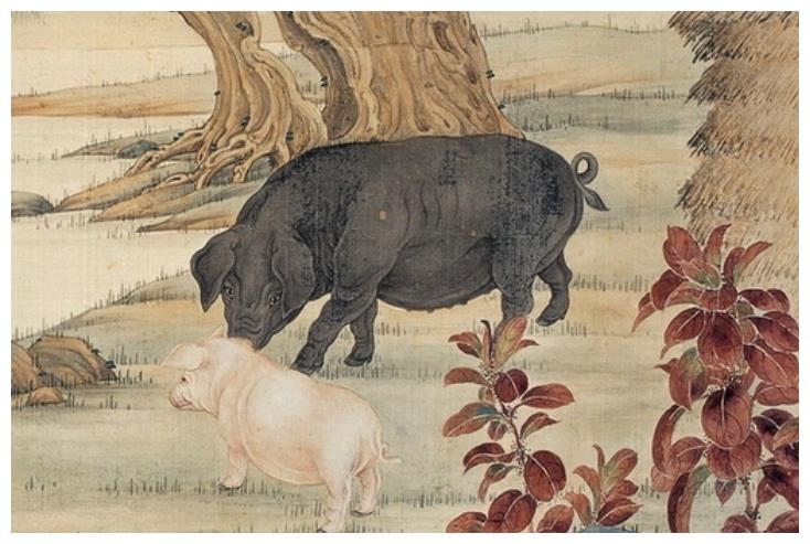 妻妾成群的生肖是猪，源于传统文化中的繁荣与富足象征。插图