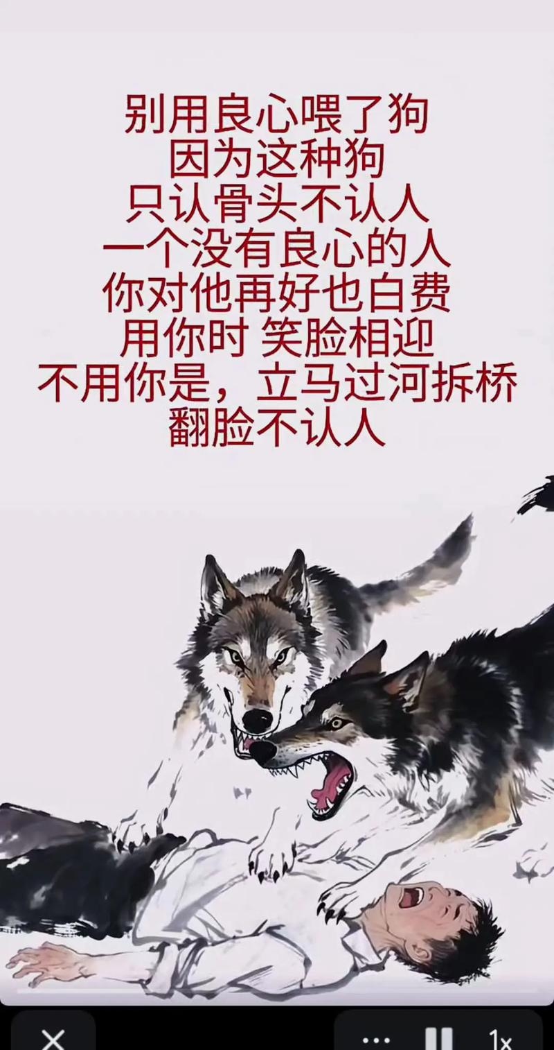 豺狼当道，生肖狗的象征成语插图