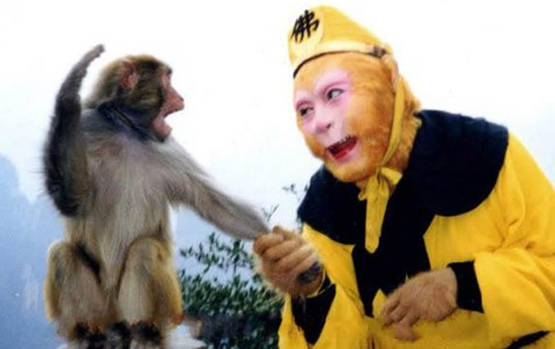 阴曹地府小差动物及其寓意插图