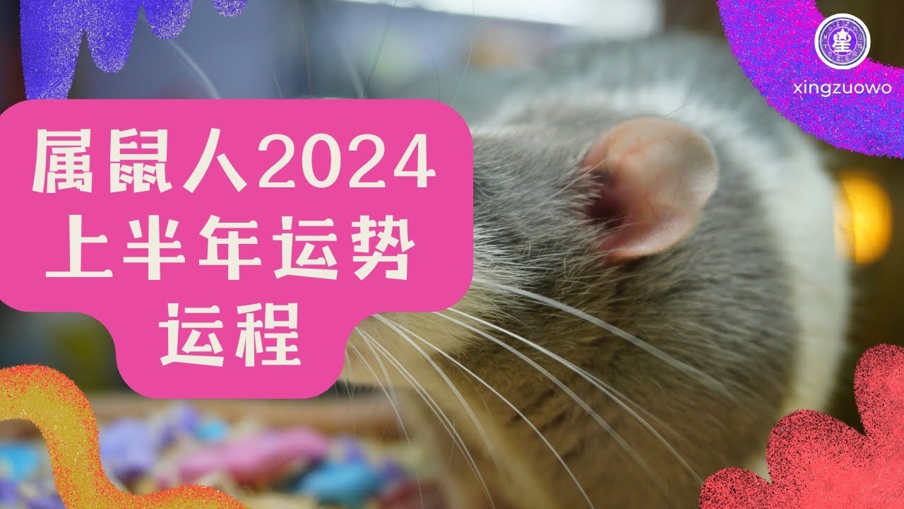 属鼠的人今日运势详解—来自360星座网的分析插图