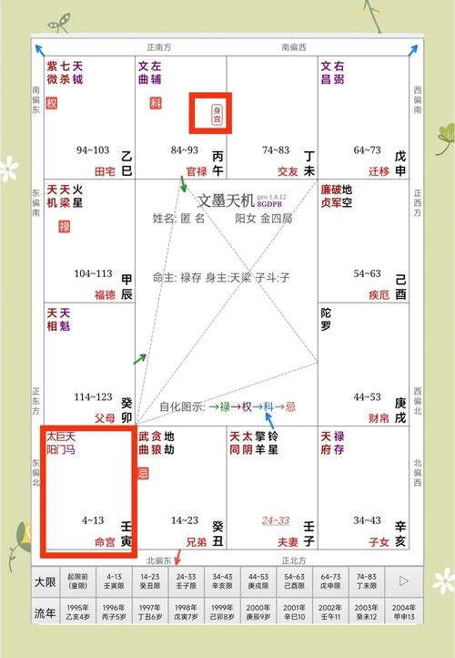 紫微斗数解析，命宫特性与运势走向插图