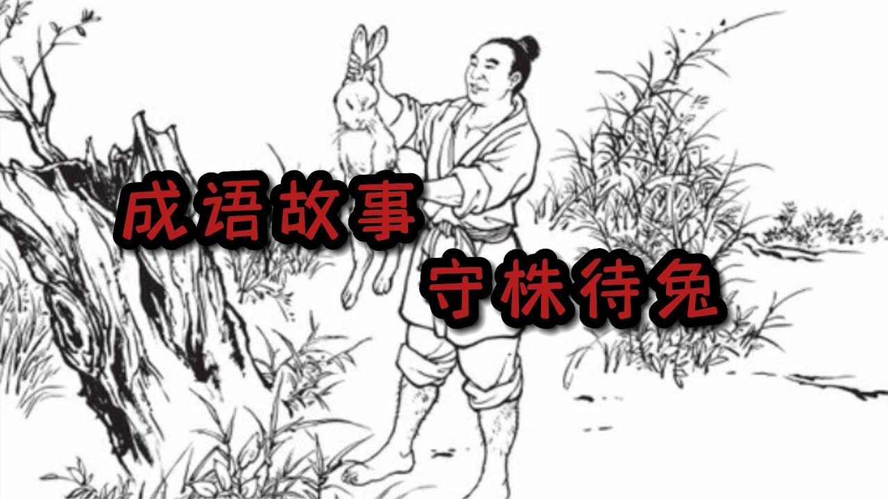 守株待兔打一生肖，生肖猪的寓言故事插图