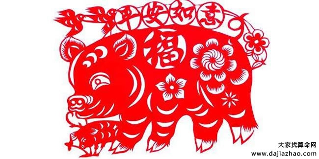 属猪的2020年运势展望插图