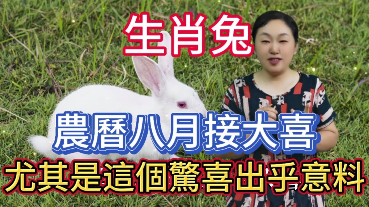 属兔的最佳出生月份，二月、三月、四月、五月与十月的福气解析插图