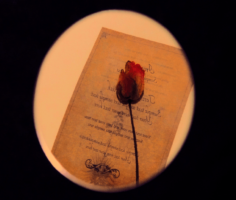 颓废风格网名精选,感受消极情绪的魅力。,孤独与失落——颓废伤感网名推荐。,深度解析颓丧心态的流行网名及其背后的故事。插图 颓废风格网名精选,感受消极情绪的魅力。,孤独与失落——颓废伤感网名推荐。,深度解析颓丧心态的流行网名及其背后的故事。插图