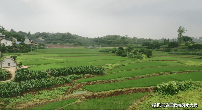 祖坟风水宝地论插图