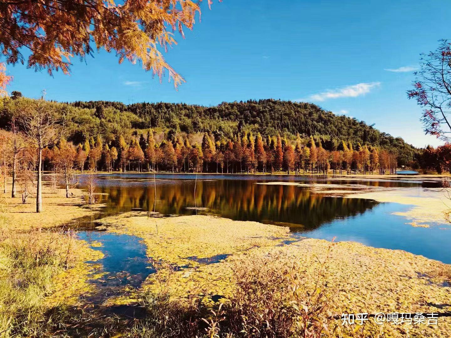 阴宅风水图解详解，天门、地户与太极晕解析插图