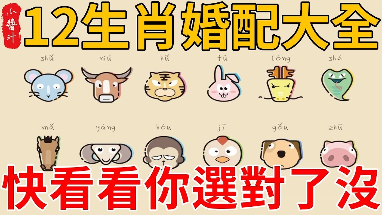 属相婚配表大全，生肖配对与婚姻运势解析插图