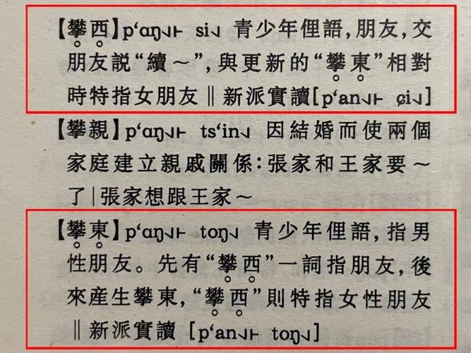 南京话中的潘西，年轻女性的独特称呼起源与详解插图