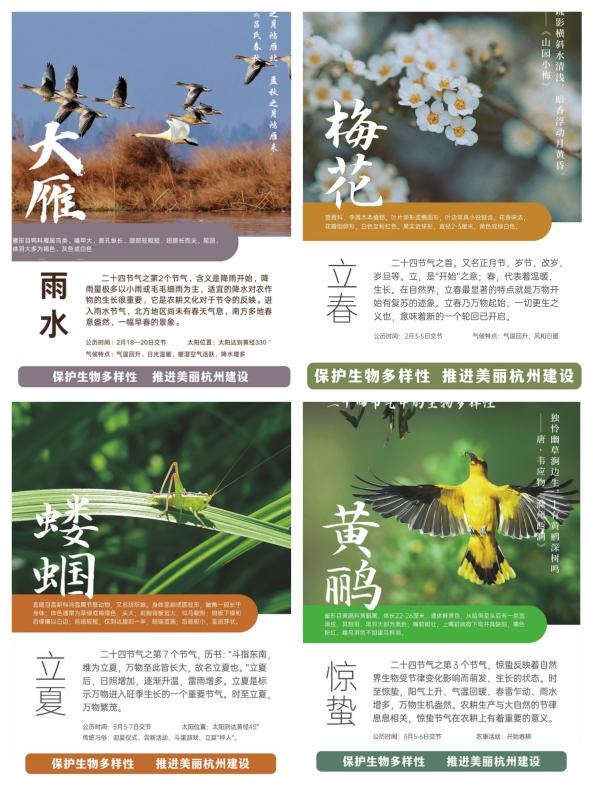 惊蛰节气含义插图