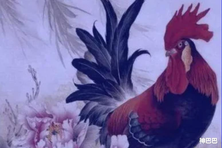 属鸡几月出生最好命 生肖运势插图