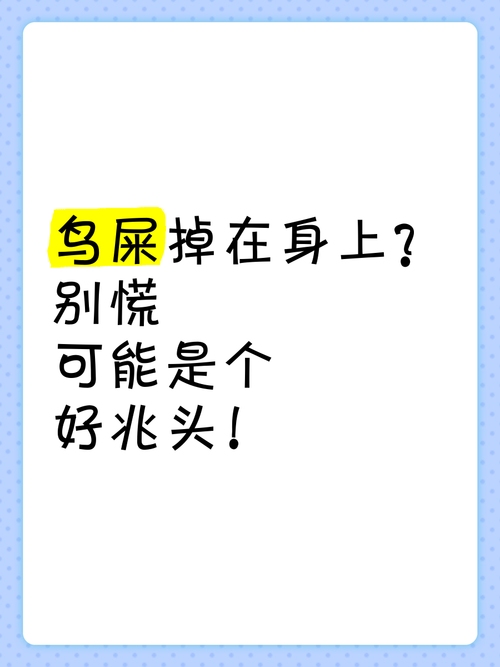 鸟粪落身寓意解析，是福是祸？，不同文化对鸟屎掉身上有不同的解释，包括好运、健康等。但也有人认为是迷信或无科学依据的说法。插图