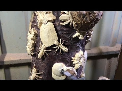 新疆木根雕制作教程插图