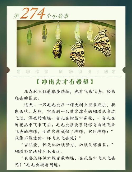 苍蝇梦境解析，预示困扰与应对之道插图