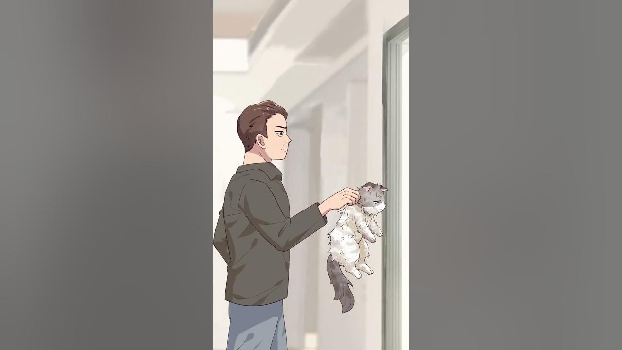 猫追梦解析插图