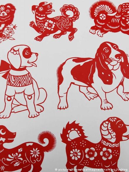 属狗名人一览插图