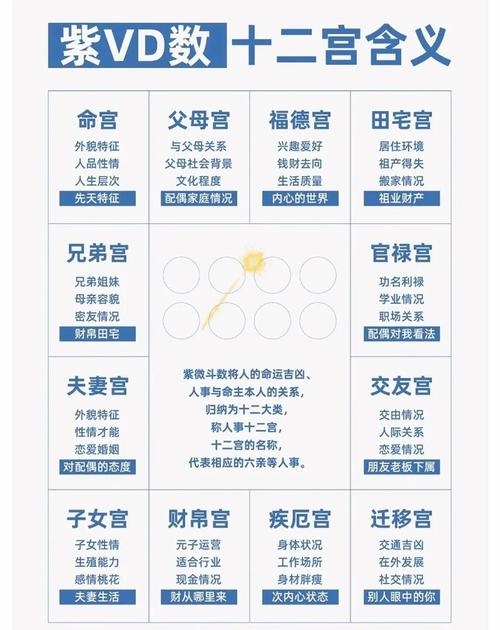 紫微命盘解析，窝里横性格与星象格局探讨插图