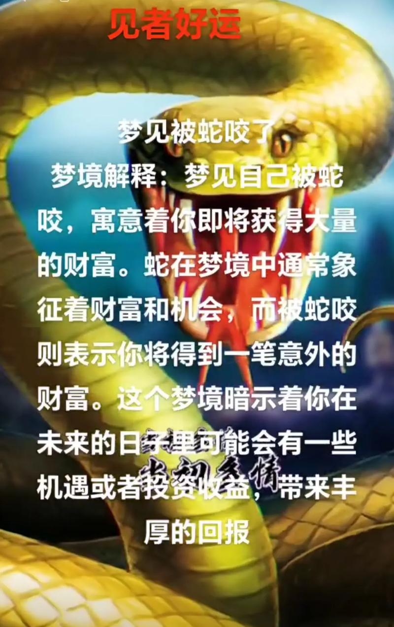 蛇咬梦预示吉兆或财运插图