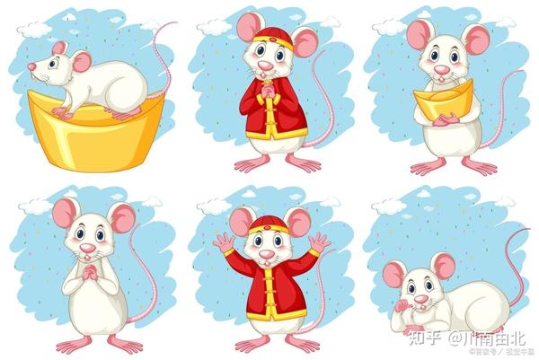 属鼠女的最佳婚配生肖，牛、龙、猴，解析，根据属相学上的匹配度，属鼠女与属牛、属龙、属猴的男性最为相配。双方性格互补，能够共同面对生活的挑战，营造幸福的婚姻生活。插图