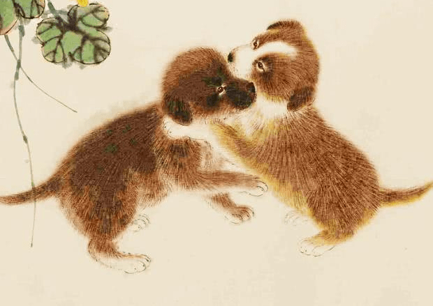 属狗女的最佳婚配生肖，兔、虎、马，狗女婚配，兔虎马最合。插图