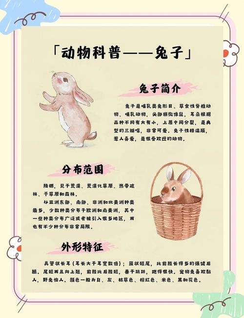 探寻农历癸卯兔年的奥秘—以2023年为例插图