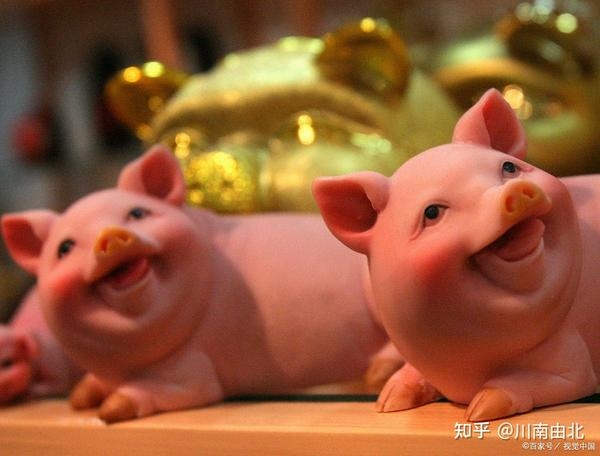 属猪年龄对照表 20-30岁插图 属猪年龄对照表 20-30岁插图