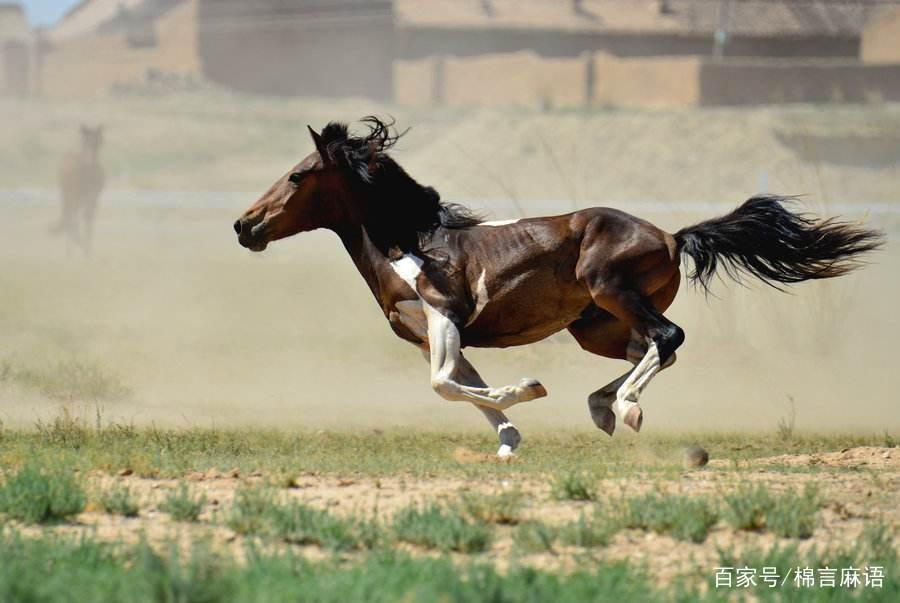 90年属马33岁三大劫难与应对之策，健康挑战、事业波动及情感考验。积极调整心态，寻求贵人相助，科学面对生活挑战插图