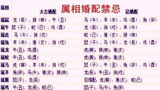 97年属牛人的婚配与添丁指南，生肖配对、年份选择与宝宝属相推荐插图