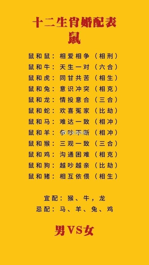 96年属鼠生肖婚配与生育详解，最佳配偶属相及宜忌年份插图