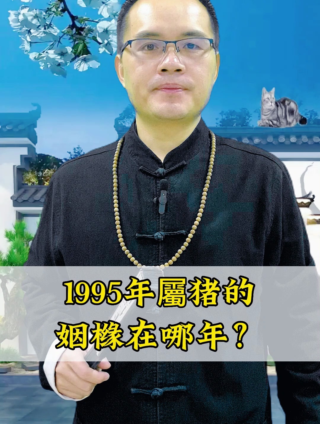 95年属猪婚配指南插图