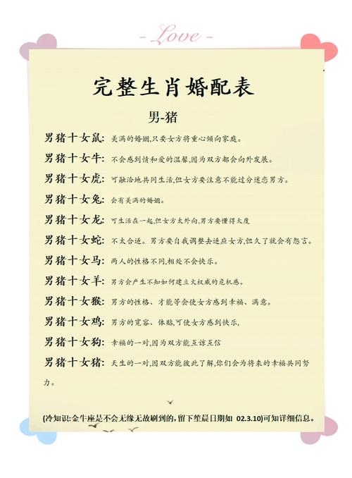 属猪女最佳婚配属相是什么插图