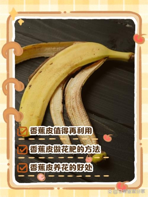 香蕉皮责任判定插图