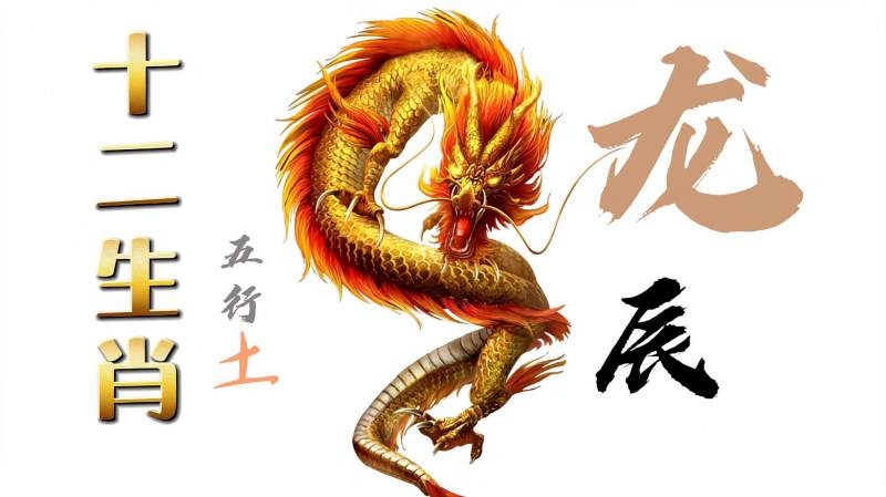 舳舻千里，生肖显龙。插图