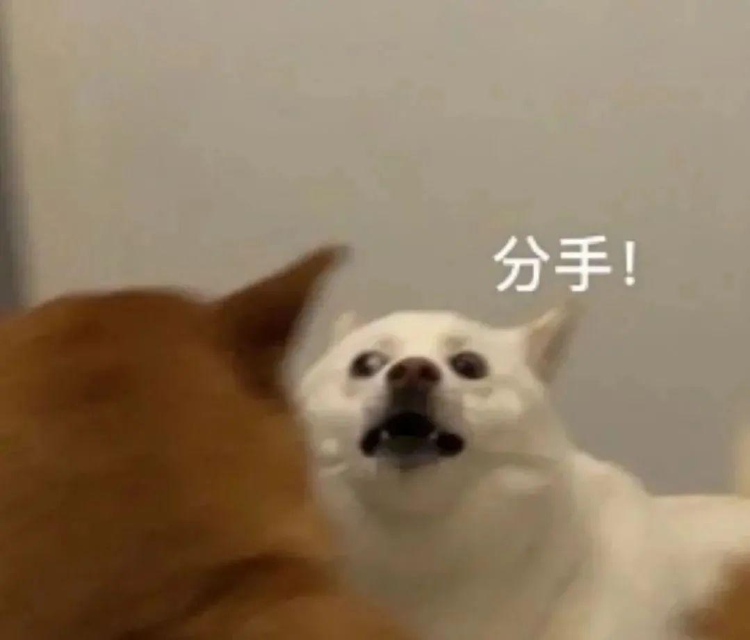 奶凶情侣昵称插图