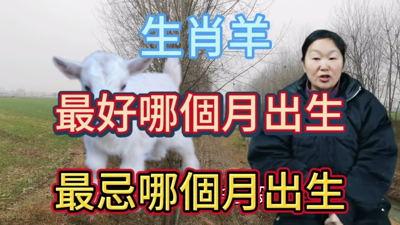 属羊人出生月份与命运解析，最佳出生月份揭秘插图