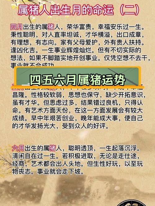 属猪人出生月的命运详解，不同月份出生的属猪的命运与福运差异插图