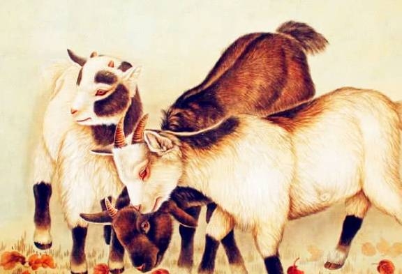 芬芳人间解生肖,羊。插图 芬芳人间解生肖,羊。插图