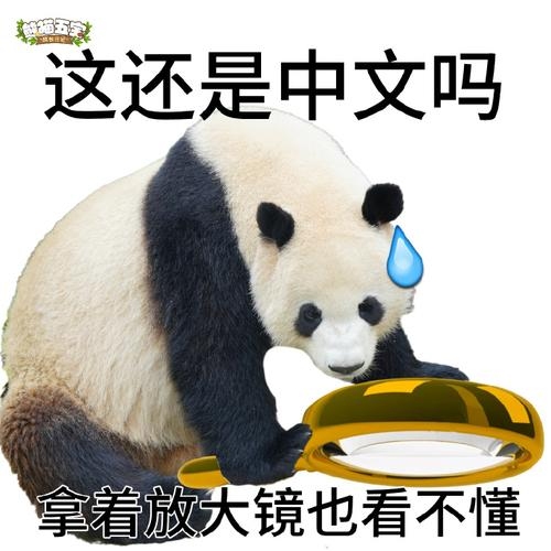 熊猫人名字大全及游戏相关，团团圆圆、黑白配，德鲁伊真熊猫名出炉！圣骑士熊猫烧香等创意命名。小德情感寓意丰富，聪明小猪展现机智与可爱。月影舞者、月光之吻诗意四溢。生肖星座结合地点取名奇妙有趣。魔兽强势职业推荐，血DK、酒仙奶萨等上榜。萌系风格凸显熊猫人之可爱特质，竹影萌萌宝宝糖糖等与熊猫特点相符的名字备受喜爱。祝澄为熊猫萨满之名，蕴含祝福纯净之意。插图