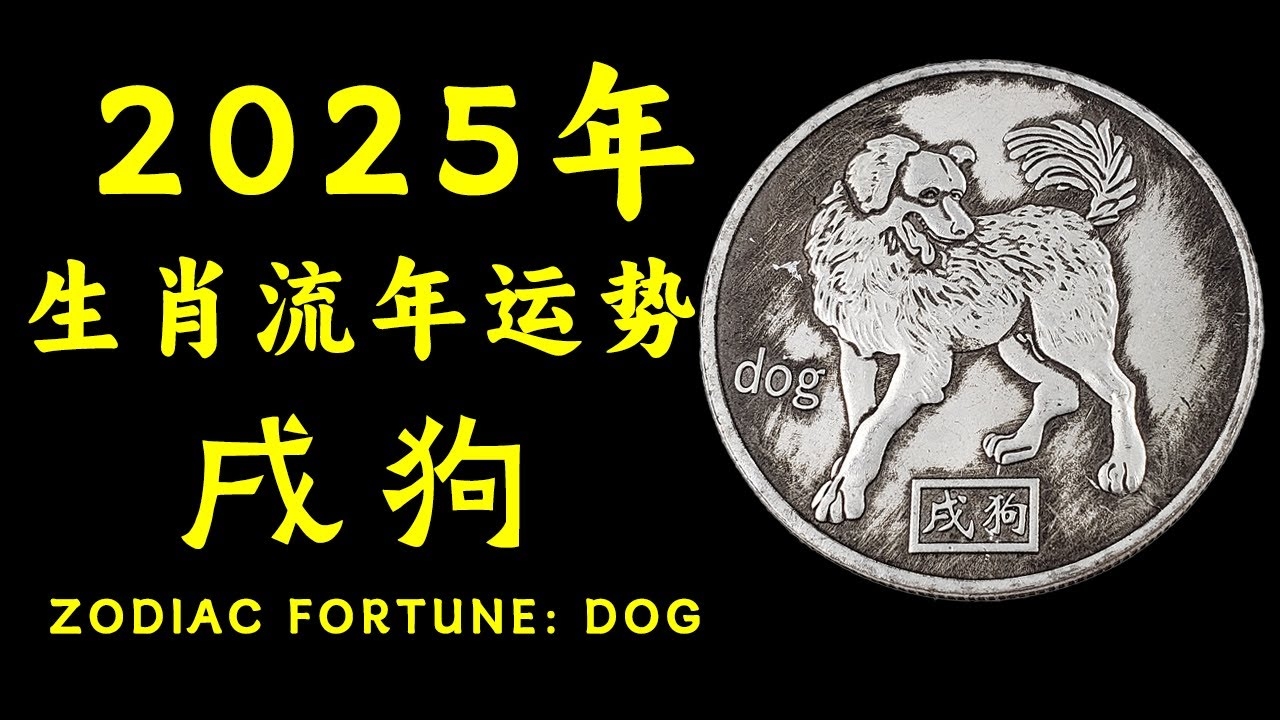 属狗人命运婚姻与事业运势插图 属狗人命运婚姻与事业运势插图