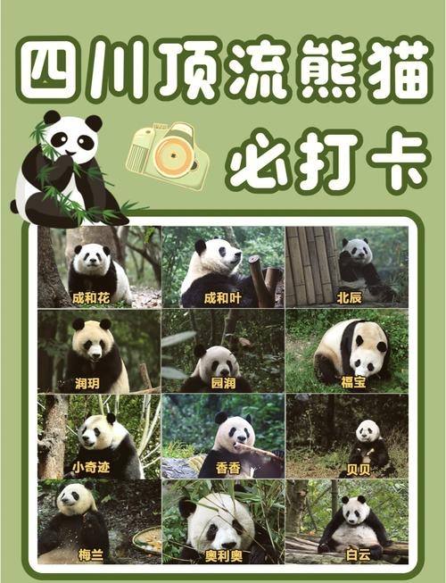 熊猫人武僧名字推荐，滚滚吃竹、太极揉脸，起名的建议应结合角色特点和文化背景，凸显种族文化符号。插图