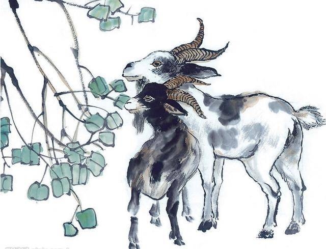 属羊人2018年运势概览，财运惨淡，事业挑战与机遇并存插图