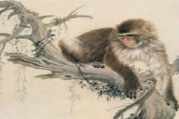 属猴人下半年运势展望，事业抉择与财运起伏插图